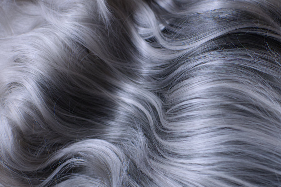 Lifestyle Icon - Nyx Silver Luxe