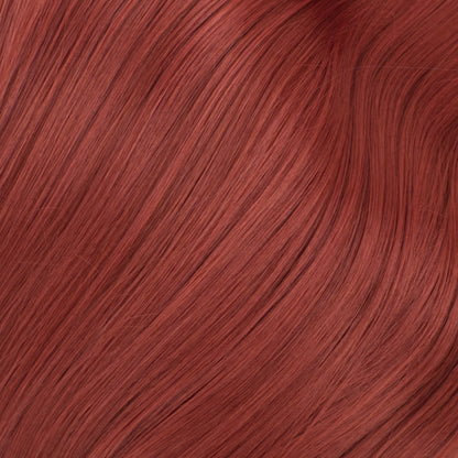 Miss Provocateur - Fashionista Sedum Crimson
